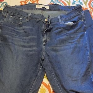 Signature by Levi Strauss Dark Blue Jeans